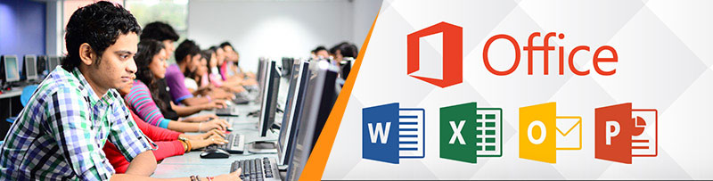 Mastering Microsoft Office: From Beginner to Pro
